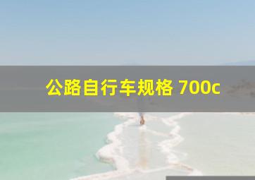 公路自行车规格 700c